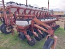Gringa III 1052