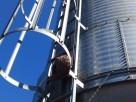 Silo aéreo Conti