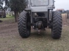 Tractor Massey Ferguson 1615