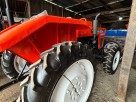 Tractor Taishan 504