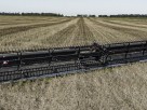 Plataforma Lito 35 pies