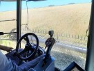 Cosechadora Claas Lexion 570