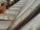 Cabezal maicero Mainero de 1152