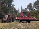 FEA 1500
