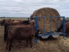 COMEDERO PORTA ROLLO