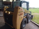 New Holland Mini